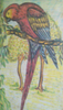 Parrot Image